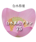 ���؍Ւd�@���ؐ^�S�v����75