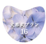 �Α����v����16